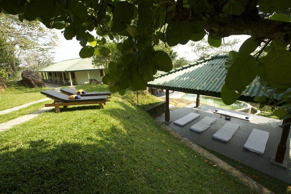 Hotel Mangrove Escapes Bentota Exterior foto